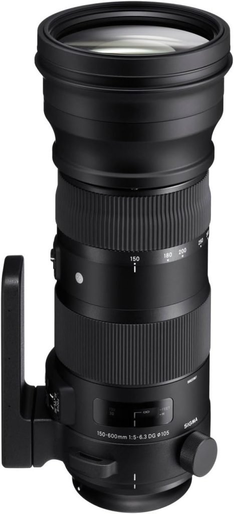 Sigma 740101 (150-600mm) F5-6.3 DG OS HSM Sport Lens for Canon Digital Cameras