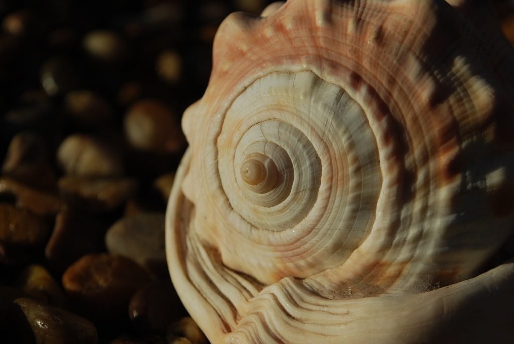How Can I Achieve Balanced Compositions Using The Golden Ratio?