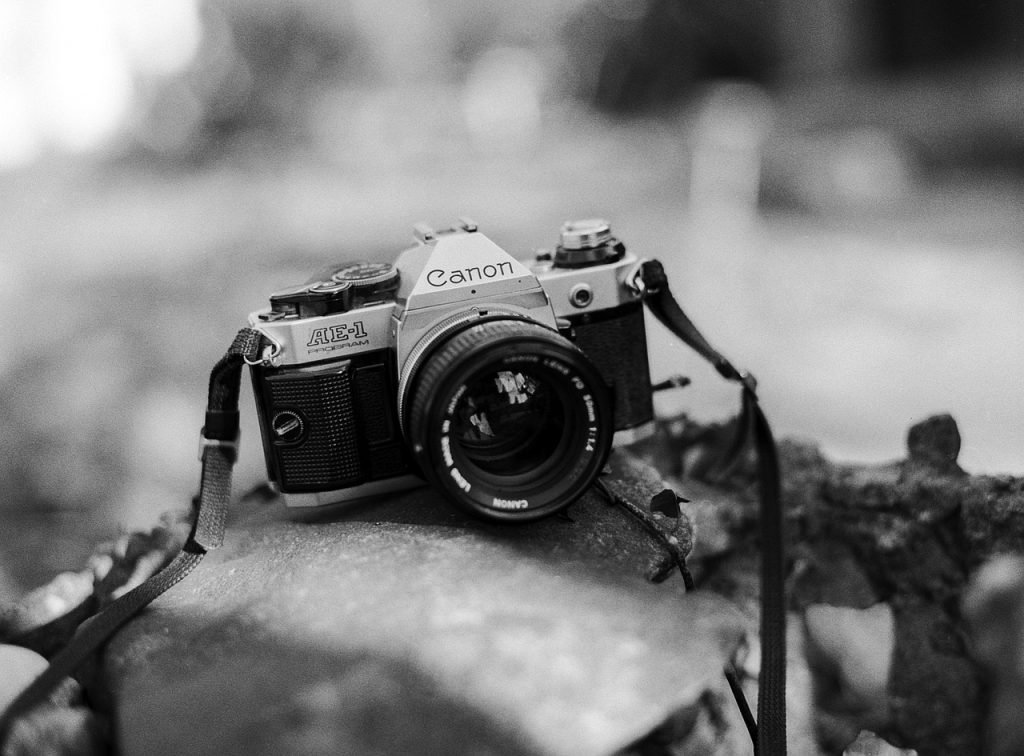 Whats The Significance Of Using A Cameras Electronic Viewfinder?