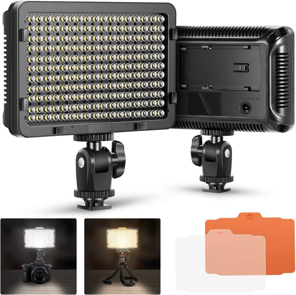 Neewer 176 LED 5600K Ultra Bright Dimmable on Camera Video Light with 1/4-inch Thread Mount for Canon,Nikon,Pentax,Panasonic,Sony and Other DSLR Cameras (Power Adapter or Batteies NOT Included)