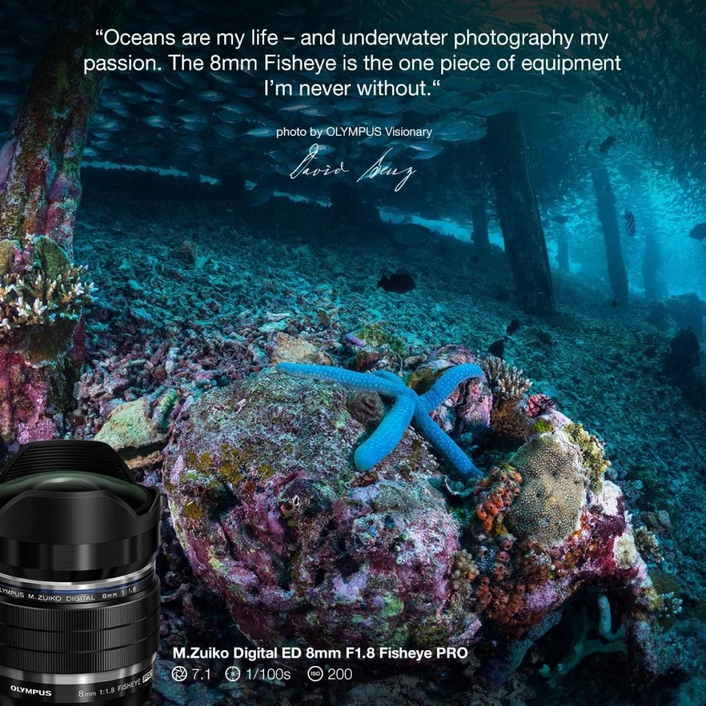 Olympus M.Zuiko Digital ED 8 mm F1.8 PRO Lens, Fast Fixed Focal Length, Suitable for All MFT Cameras (Olympus OM-D  PEN Models, Panasonic G Series), Black