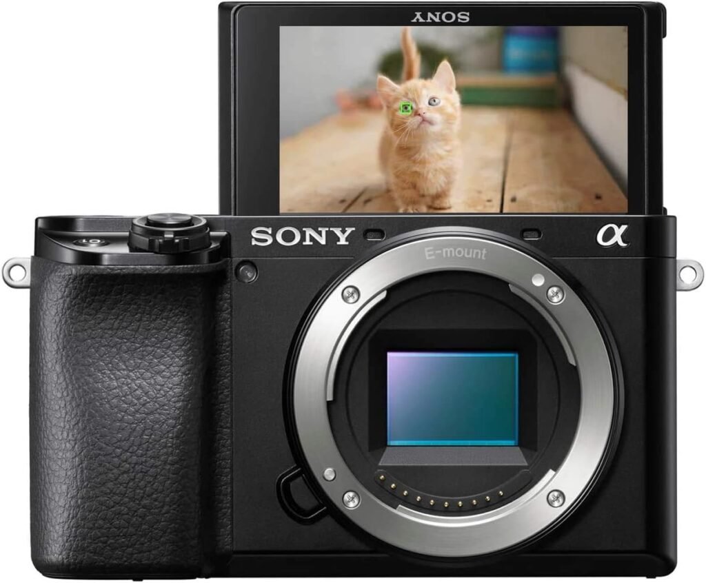 Sony Alpha 6100 | APS-C Mirrorless Camera ( Fast 0.02s Autofocus, Eye Tracking Autofocus for Human and Animal, 4K Movie Recording and Flip Screen )