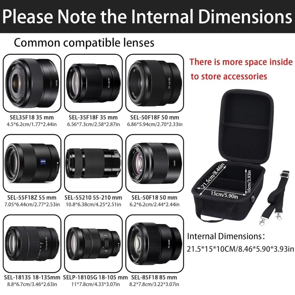 Aenllosi Hard Carrying Case for Sony Alpha 6000 6300 6400 6500 6700 Digital Camera, Black (Only Case)
